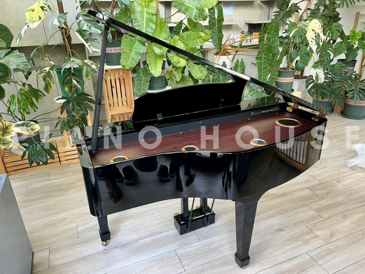 Hình ảnh chi tiết ROLAND RG-3F PE góc chụp 2